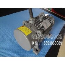 吉安0.75kw振動電機(jī)YZS-10-6
